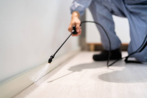 Licensed Termite Control service in Landover, MD - Nex Pest Control