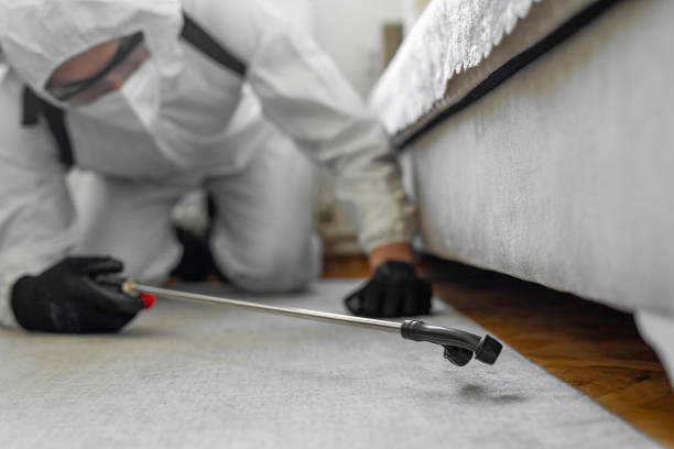 Professional Termite Control technician working in Landover, MD