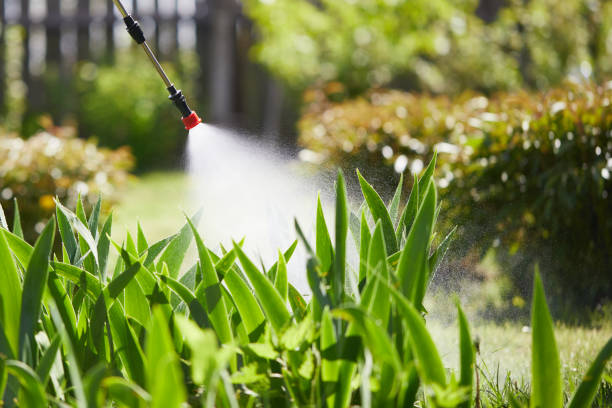 24/7 Emergency Termite Control experts in Landover, MD