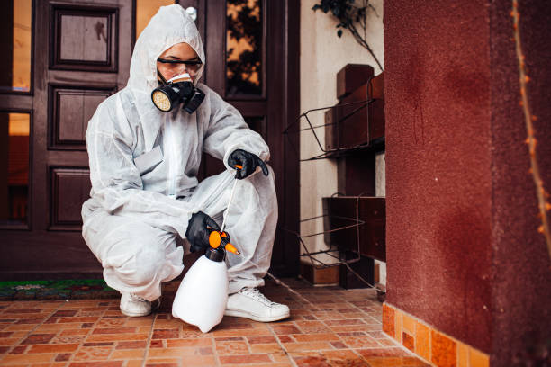 Reliable Termite Control contractor in Landover, MD by Nex Pest Control