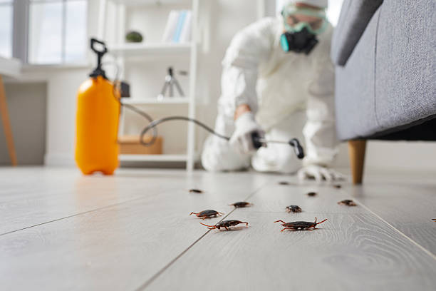 Affordable Termite Control solutions in Landover, MD